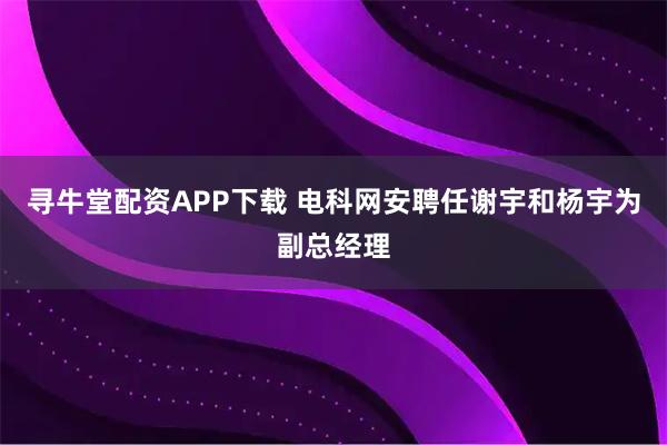 寻牛堂配资APP下载 电科网安聘任谢宇和杨宇为副总经理