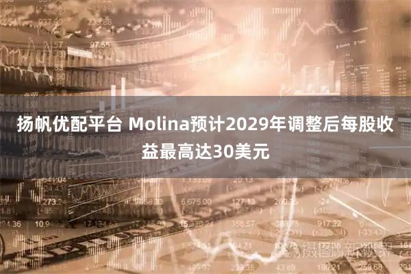 扬帆优配平台 Molina预计2029年调整后每股收益最高达30美元